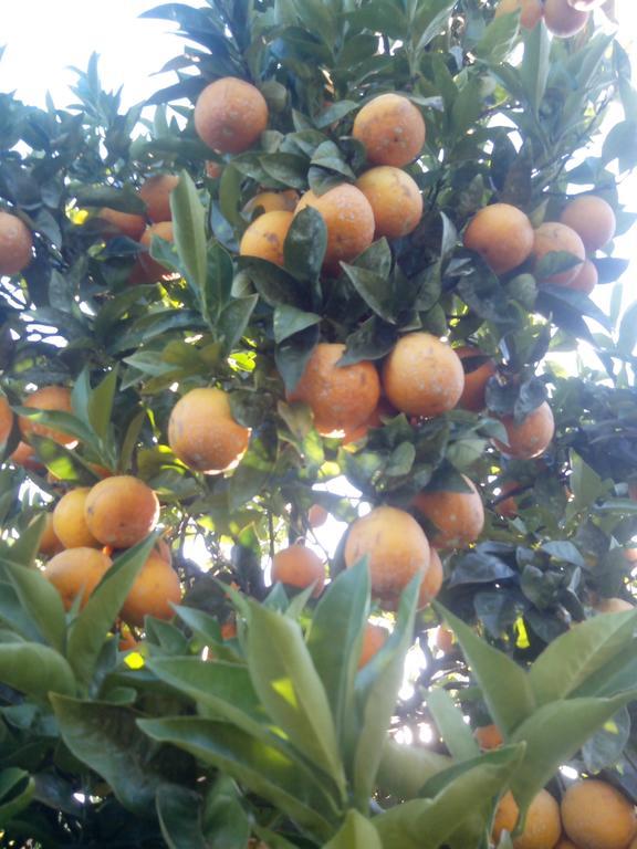 הוילה ברסלוס Quinta Da Lage חדר תמונה