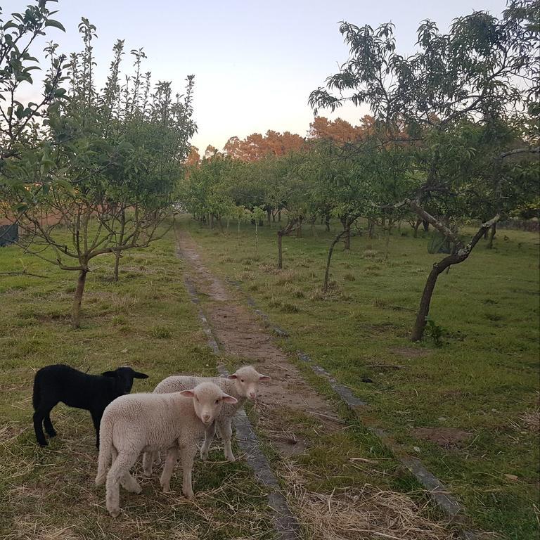 הוילה ברסלוס Quinta Da Lage מראה חיצוני תמונה